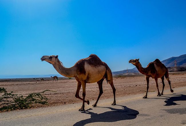 Conseils-pratiques-pour-préparer-son-séjour-à-Oman